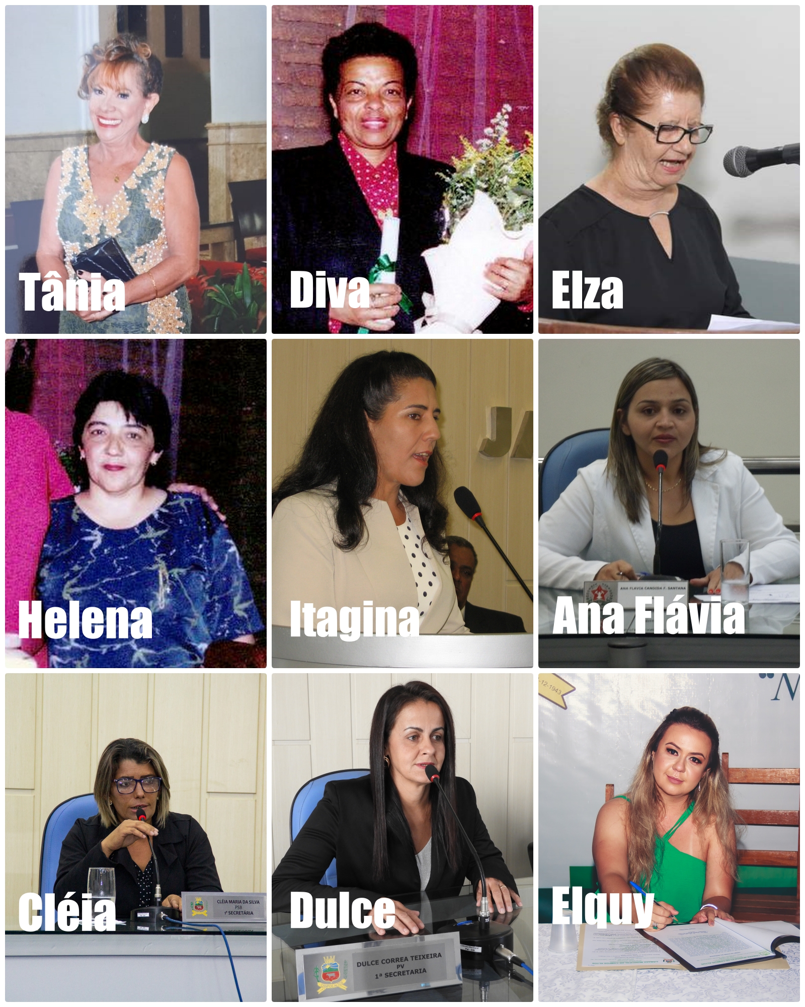 A Participação da Mulher no  Poder Legislativo Municipal