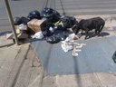 Acúmulo de lixo na cidade é tema de discussão na Câmara Municipal