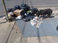 Acúmulo de lixo na cidade é tema de discussão na Câmara Municipal